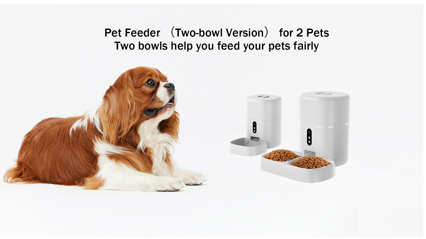 DIY Smart Pet Feeder – BL5 Video Version