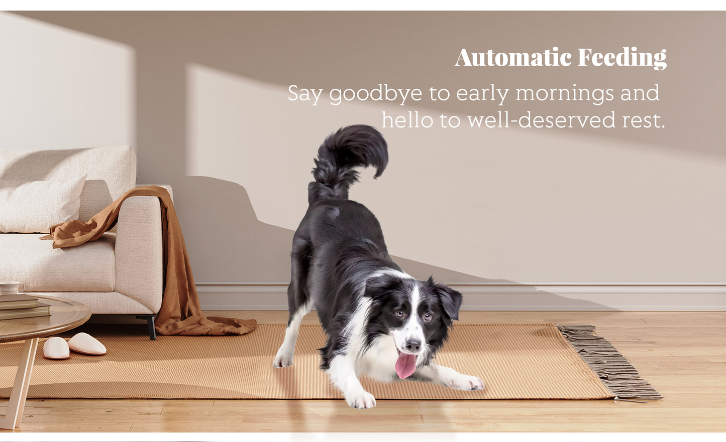 DIY Smart Pet Feeder – BL5 Video Version