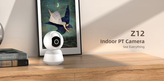 4K Indoor Security Camera – Miss Nothing